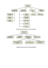 Organizacinės sistemos funkcionavimo analizė 8 puslapis