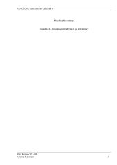 Paauglių suicidinis elgesys 11 puslapis