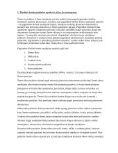 Pagrindinės tikslinės žemės naudojimo paskirties nustatymas ir keitimas 3 puslapis