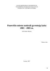 Panevėžio miesto natūrali gyventojų kaita 16 puslapis