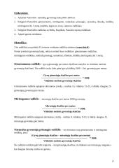 Panevėžio miesto natūrali gyventojų kaita 3 puslapis