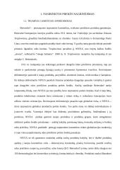 Pasirinktos prekės santykis su kitomis konkurencingomis prekėmis rinkoje: šampūnas "Nivea" 2 puslapis