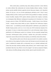 Pasirinktos prekės santykis su kitomis konkurencingomis prekėmis rinkoje: šampūnas "Nivea" 17 puslapis