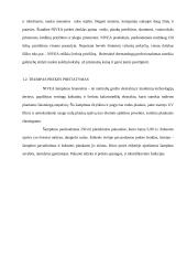 Pasirinktos prekės santykis su kitomis konkurencingomis prekėmis rinkoje: šampūnas "Nivea" 3 puslapis