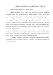 Pasirinktos prekės santykis su kitomis konkurencingomis prekėmis rinkoje: šampūnas "Nivea" 6 puslapis