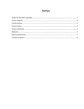 Pasitenkinimo darbu tyrimas 2 puslapis