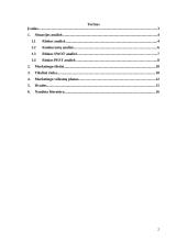 Paslaugos marketingo planas: VOX balso paštas 2 puslapis