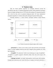Paslaugos marketingo planas: VOX balso paštas 11 puslapis