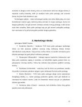 Paslaugos marketingo planas: VOX balso paštas 10 puslapis