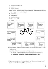 Paslaugų paketas ir klasifikavimas 5 puslapis