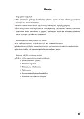 Paslaugų paketas ir klasifikavimas 10 puslapis