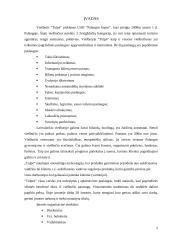 Paslaugų tiekimo proceso valdymo praktika: viešbutis "Tulpė" 2 puslapis