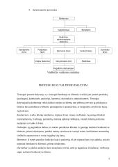 Paslaugų tiekimo proceso valdymo praktika: viešbutis "Tulpė" 3 puslapis