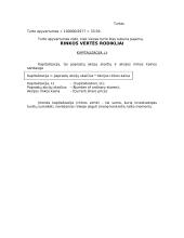 Pelno (nuostolių) ataskaita ir balansas 11 puslapis