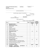 Pelno (nuostolių) ataskaita ir balansas 2 puslapis