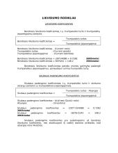 Pelno (nuostolių) ataskaita ir balansas 6 puslapis