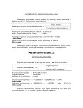 Pelno (nuostolių) ataskaita ir balansas 7 puslapis