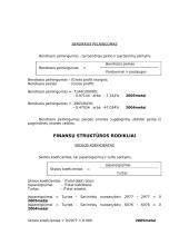 Pelno (nuostolių) ataskaita ir balansas 8 puslapis