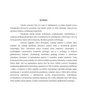 Perdangų konstrukcijos ir elementai 3 puslapis