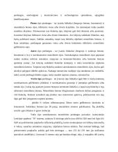 Perdangų konstrukcijos ir elementai 7 puslapis