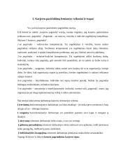 Personalo karjeros politika 2 puslapis