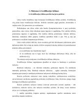 Personalo karjeros politika 7 puslapis