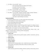 Personalo mokymas: UAB "Reklamos galimybių centras" 6 puslapis