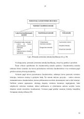 Organizacijos personalo politika ir jos įtaka personalo poreikio planavimui 14 puslapis