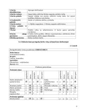 Personalo vadyba: naktinis klubas "Zepelinus" 10 puslapis