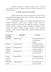 Personalo vadyba: UAB "Saudrija" 2 puslapis