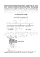Personalo vertinimo sistema: APB "Apranga" 5 puslapis