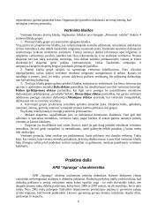 Personalo vertinimo sistema: APB "Apranga" 6 puslapis
