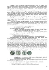 Pinigai, pinigų funkcijos 5 puslapis