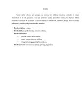 Pinigų sistemos reikšmė 2 puslapis