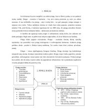 Pinigų sistemos reikšmė 3 puslapis