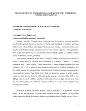 Plėtros perspektyvos: Siesikų seniūnija 2 puslapis