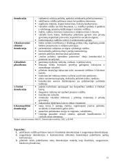 Politinis marketingas 10 puslapis