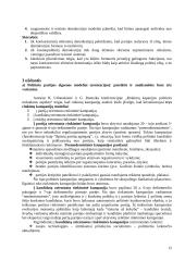 Politinis marketingas 11 puslapis
