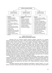 Politinis marketingas 13 puslapis