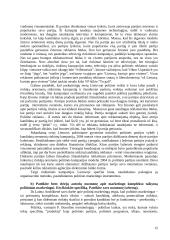 Politinis marketingas 14 puslapis