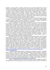 Politinis marketingas 15 puslapis