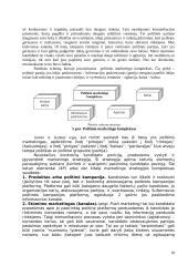 Politinis marketingas 17 puslapis