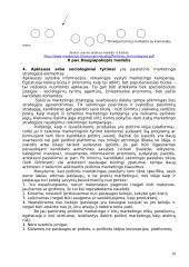Politinis marketingas 19 puslapis