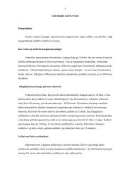 Pragyvenimo lygis Lietuvoje 3 puslapis