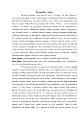 Praktikos ataskaita: socialinių paslaugų centras 2 puslapis