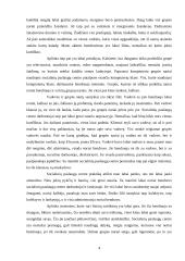 Praktikos ataskaita: socialinių paslaugų centras 3 puslapis