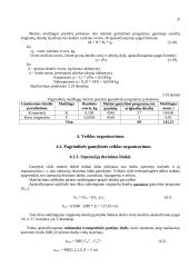 Pramonės gamybinio padalinio organizavimas ir skaičiavimai 19 puslapis
