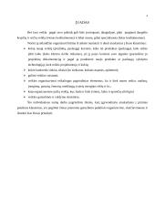 Pramonės gamybinio padalinio organizavimas ir skaičiavimai 3 puslapis