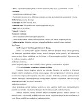 Pranešimas: Šeimos struktūros pokyčiai ir jų pasekmės vaikams 2 puslapis