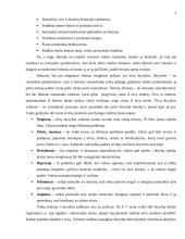 Pranešimas: Šeimos struktūros pokyčiai ir jų pasekmės vaikams 3 puslapis